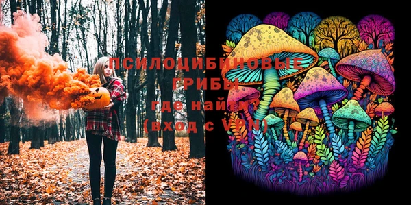 mix Сосновый Бор