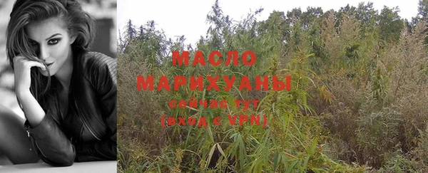 молекула духа Сосновка
