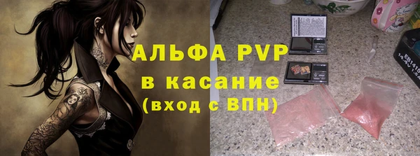 молекула духа Сосновка